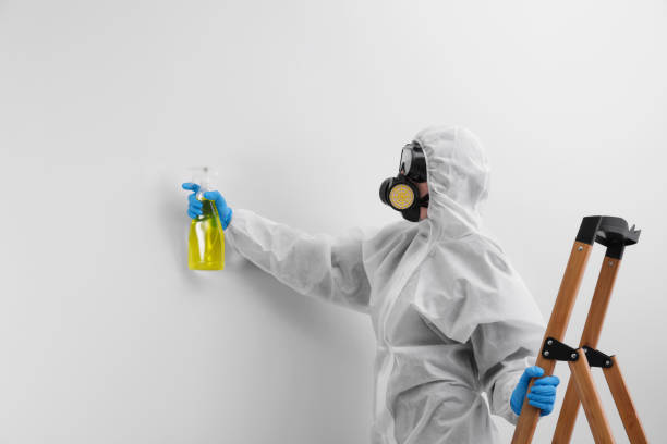 Best Industrial Mold Remediation in Kings Park, NY